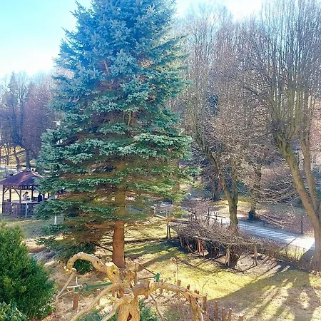 Charlotka Park Apartament *
