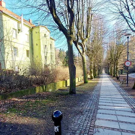 Charlotka Park