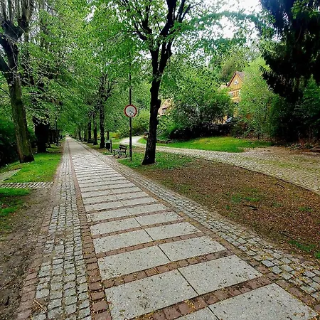 Apartament Charlotka Park Jedlina-Zdroj