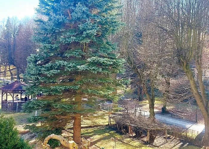 Charlotka Park Apartment *